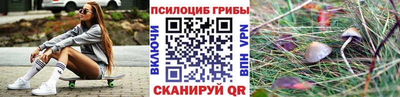 Псилоцибиновые грибы Psilocybe  Ленск 